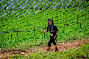 BIB: 
                            <button type="button" onclick="openModal(19164568)" class="btn btn-primary btn-sm float-right btn-popup" data-toggle="modal" data-target=".modal-high-quality">
                        <i class="fas fa-shopping-cart"></i> Add to Cart
                    </button>
                                            <button type="button" onclick="isThisMe(19164568, true)" class="btn btn-success btn-sm float-right btn-popup btn-isme hidden" data-toggle="tooltip" data-placement="bottom" title="นี่คือรูปของคุณใช่ไหม คลิกที่นี่เพื่อเอาเข้าอัลบั้ม">
                        <i class="fas fa-plus"></i> Add to album
                    </button>
                    <button type="button" onclick="isThisMe(19164568, false)" class="btn btn-warning btn-sm float-right btn-popup btn-isnotme hidden">
                        <i class="fas fa-ban"></i> Remove from album
                    </button>